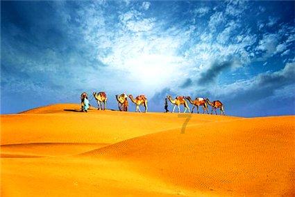 世界收藏博物馆总馆在津筹备